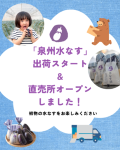 ２０２６年度「泉州水なす」出荷スタート&直売所オープンしました♪