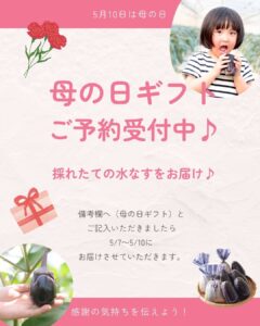母の日ギフトご予約受付中♪水なすプレゼントキャンペーンもやってます♪